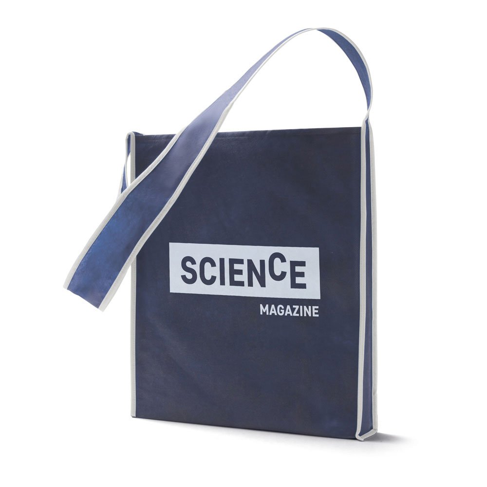 DOCUMENT BAG 92490